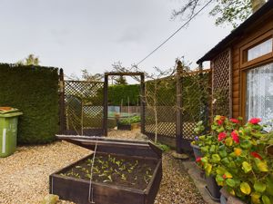Vegetable garden- click for photo gallery